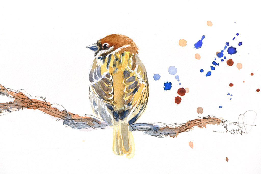 Sparrow From Back